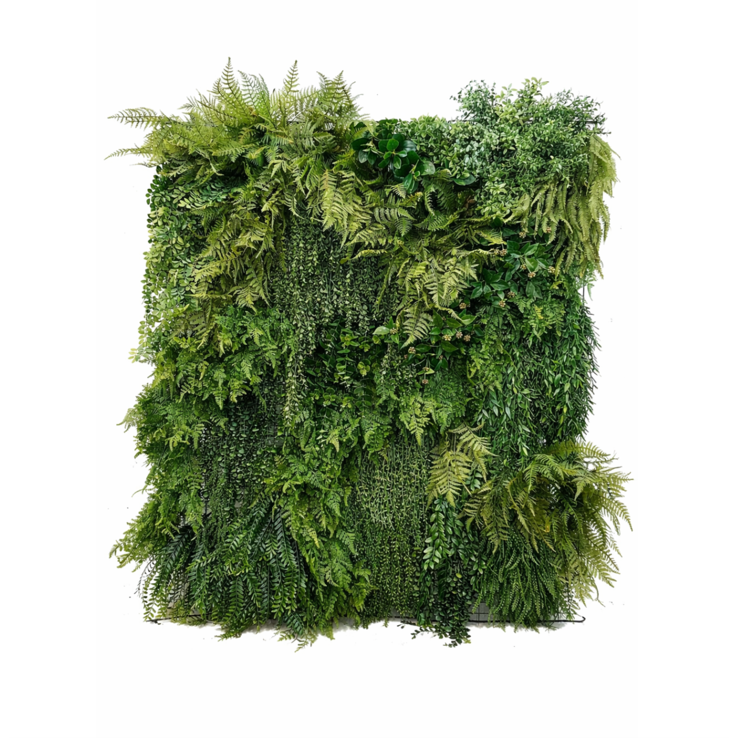 The Canopy Wall — 6' x 6' Botanical Rental - Mossa Designs