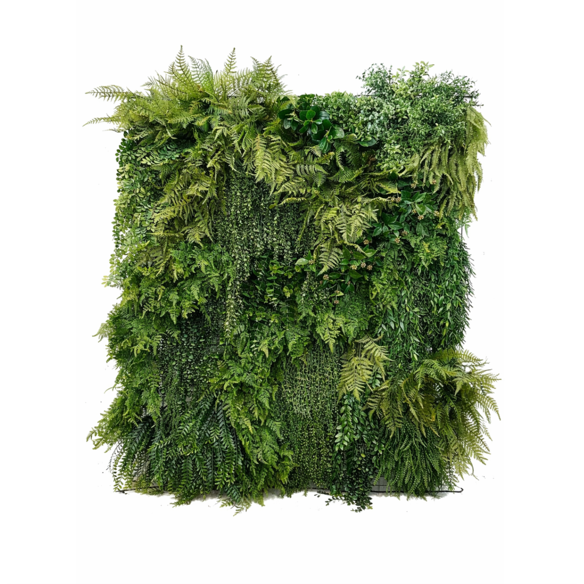 The Canopy Wall — 6' x 6' Botanical Rental - Mossa Designs