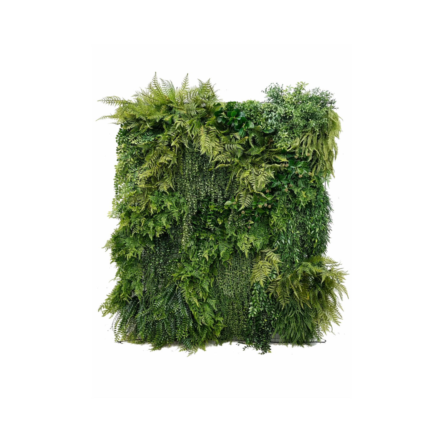 The Canopy Wall — 6' x 6' Botanical Rental - Mossa Designs
