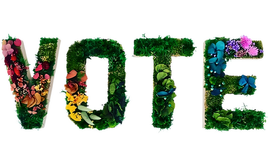 Eco-Friendly 'VOTE' Moss Letters with Natural Decor